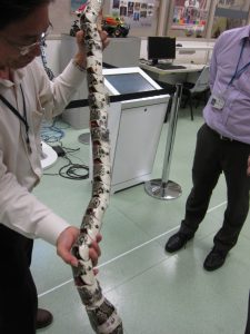 %e5%ad%a6%e7%94%9f%e3%81%8c%e5%88%b6%e4%bd%9c%e3%81%97%e3%81%9f%e3%83%98%e3%83%93%e5%9e%8b%e3%83%ad%e3%83%9c%e3%83%83%e3%83%88